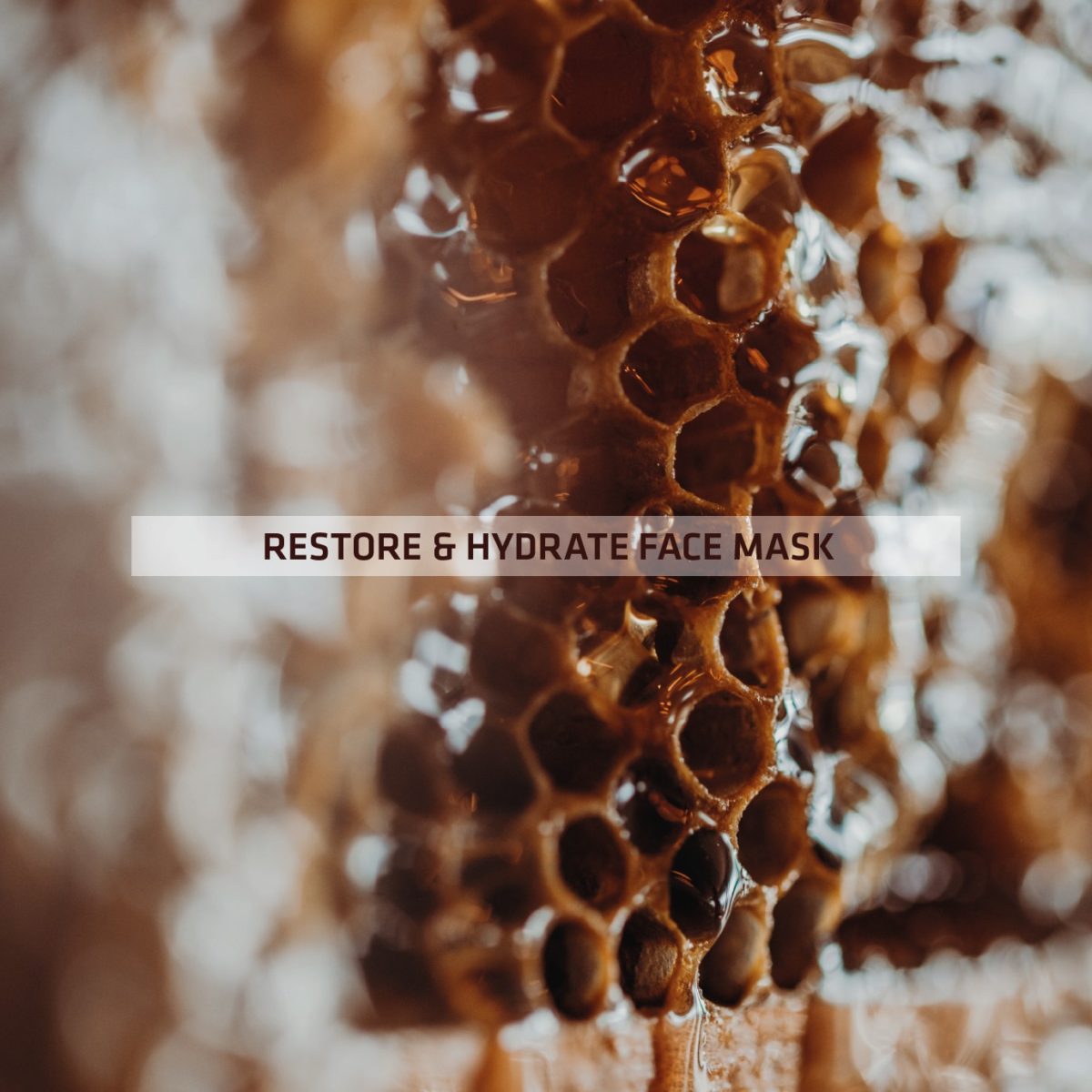 Restore and Hydrate Facemask